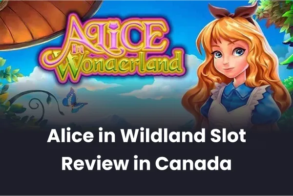 Alice in Wildland Slot Review in Canada Alice in Wildland Slot Review in Canada